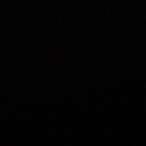 Meet your Posher, Dalton